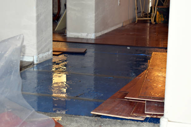 Professional Burst Pipe Cleanup technician working in Hood, CA